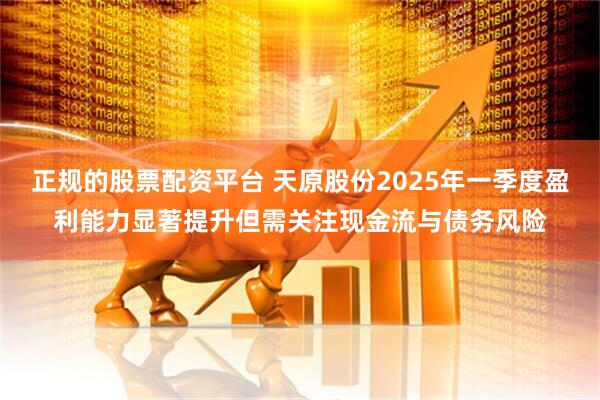 正规的股票配资平台 天原股份2025年一季度盈利能力显著提升但需关注现金流与债务风险
