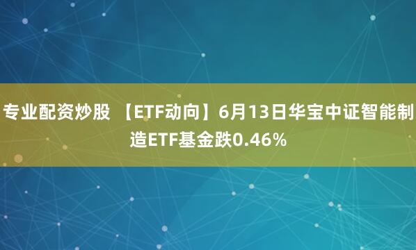 专业配资炒股 【ETF动向】6月13日华宝中证智能制造ETF基金跌0.46%
