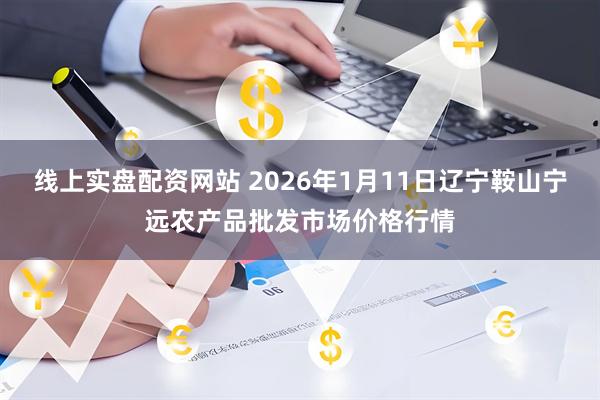 线上实盘配资网站 2026年1月11日辽宁鞍山宁远农产品批发市场价格行情