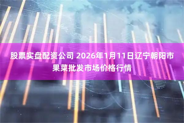 股票实盘配资公司 2026年1月11日辽宁朝阳市果菜批发市场价格行情